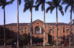 台湾大学1